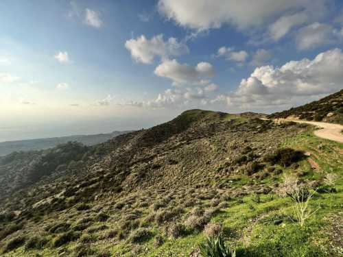 Marathon Jeep Safari - Narodowy Park Akamas z Pafos