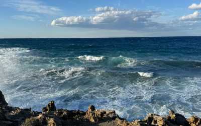 Wycieczka Marathon Jeep Safari Pisouri